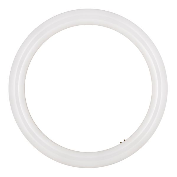 ecobasic LED Circular G10q 16W 4000K Opal image 1