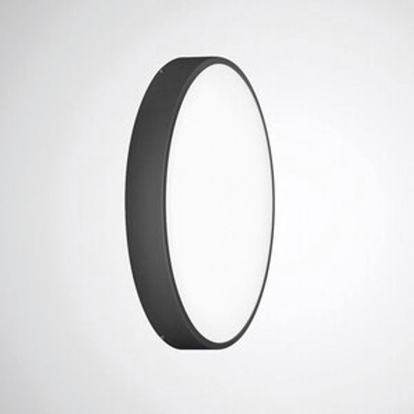 Mechanical accessories Olisq R Black 8269500 image 1