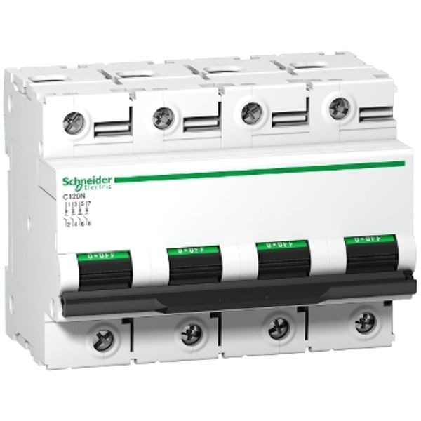 Miniature circuit-breaker, Acti9 C120N, 4P, 63 A, B curve, 10000 A (IEC 60898-1), 10 kA (IEC 60947-2) image 3
