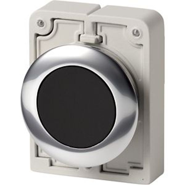 M30C-FD-S Pushbutton, RMQ-Titan, Flat, momentary, black, Blank, Metal bezel image 8