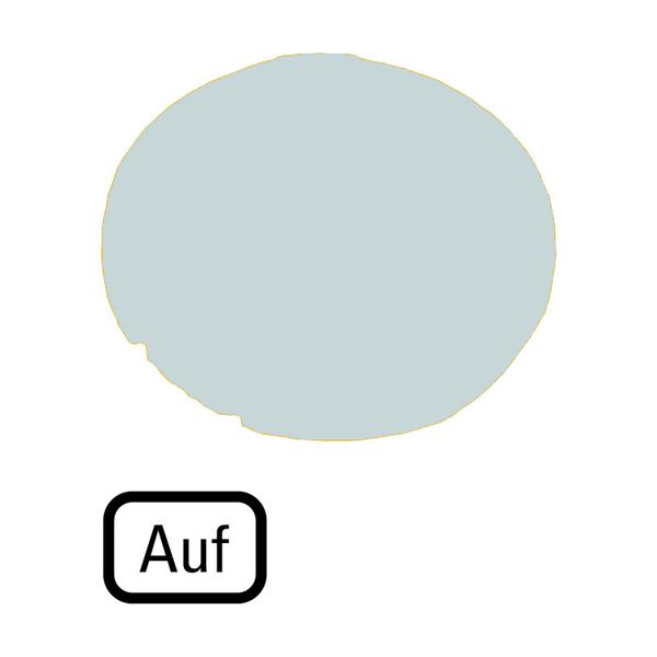 M22-XDL-W-D3 Button lens, flat white, AUF image 3