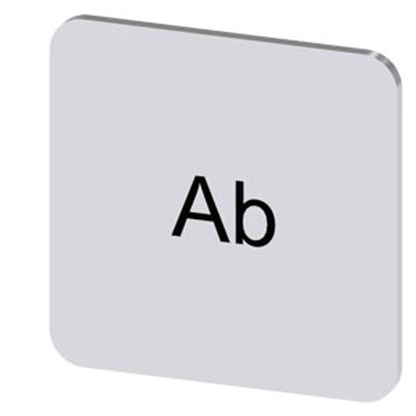 Labeling plate 22x22 mm, silver-colored label, labeling: Ab image 1