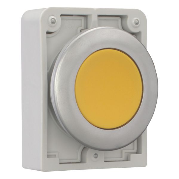 M30C-FDR-Y Pushbutton, RMQ-Titan, Flat, maintained, yellow, Blank, Metal bezel image 7