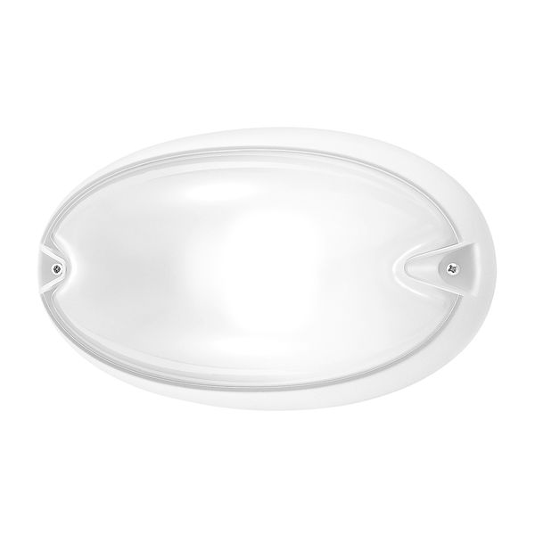 CHIP OVALE 30 WIT E27 image 2