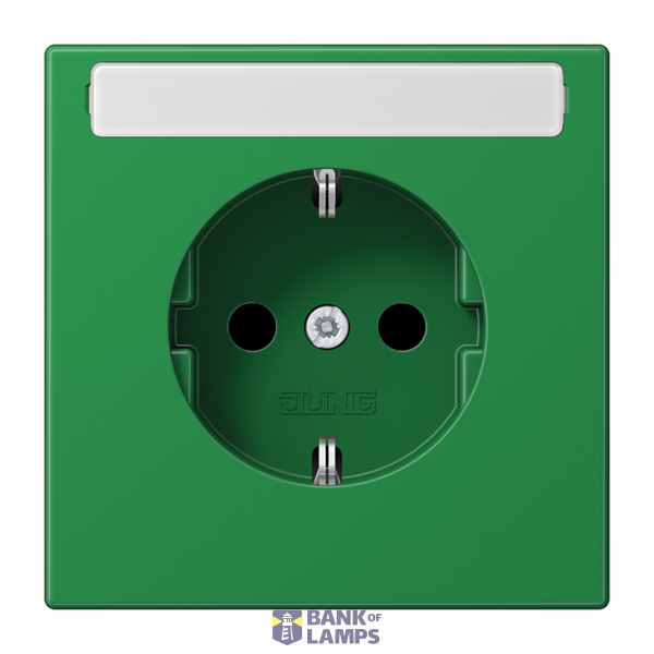 Central plate for SCHUKO® sockets with labeling field, Duroplast, LS series, green (for SV) image 1
