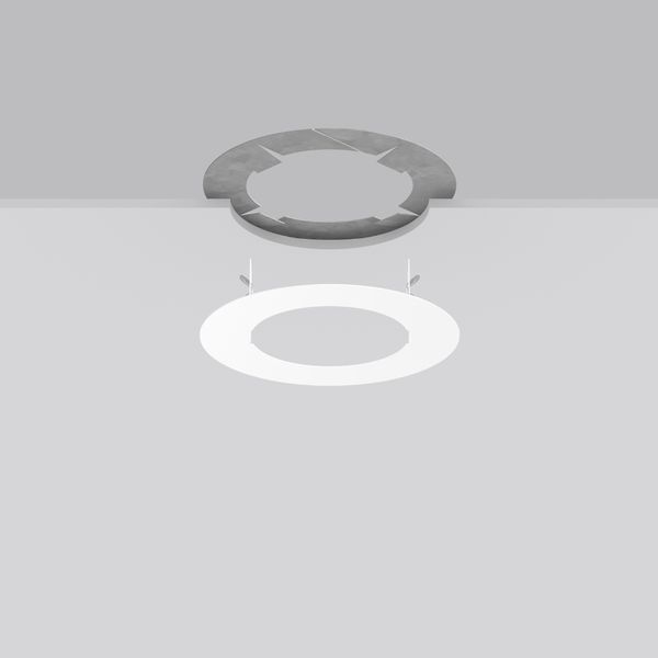 D 255 H 1 colour: white image 2