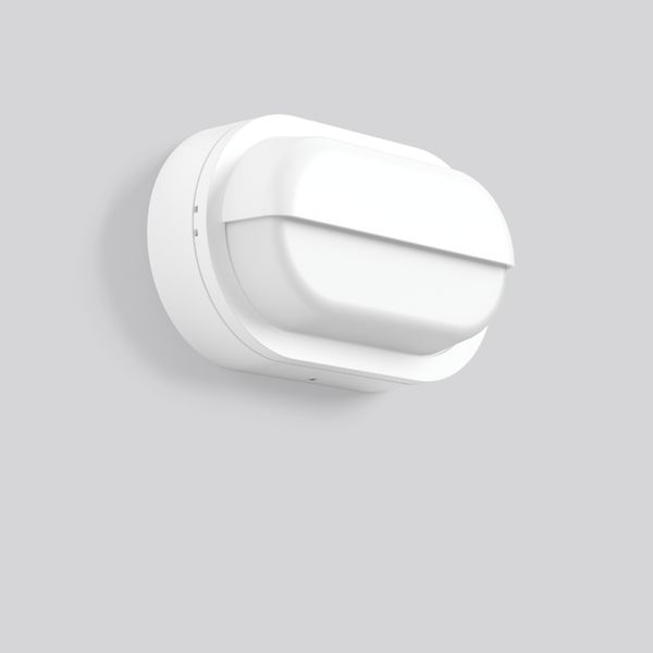 Alu-Lux oval, 8 W, 240 lm, 840, white, on/off Wall luminaires, L 258 B image 2