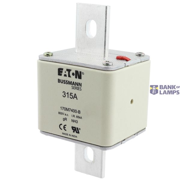FUSE 315A 800V AC gR SIZE3 BOLTED TAG DI image 5