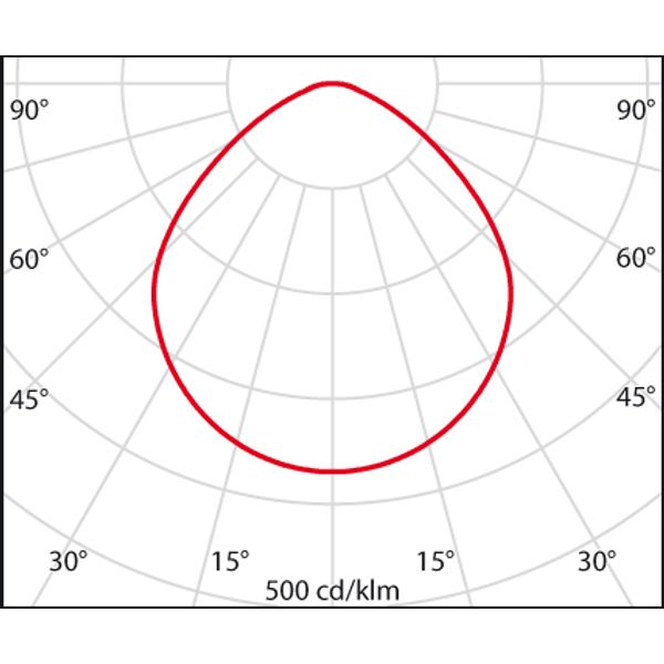 MANGO+MAXI 16/21 C/EW 830 WIT+WIELAND image 5