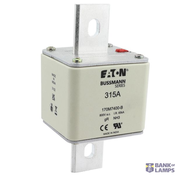 FUSE 315A 800V AC gR SIZE3 BOLTED TAG DI image 9