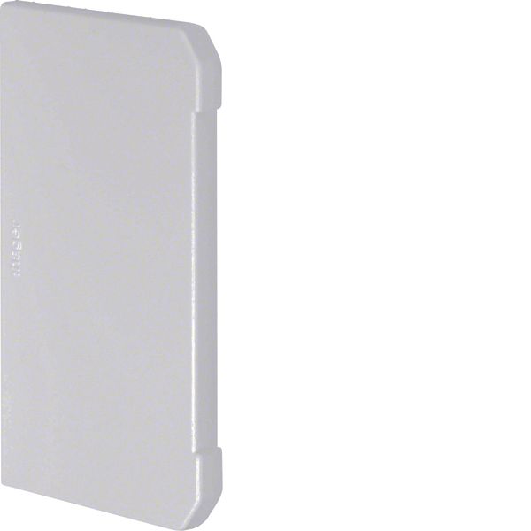 Endcap overlapping for wall trunking BRN 70x110mm of PVC in light grey image 1