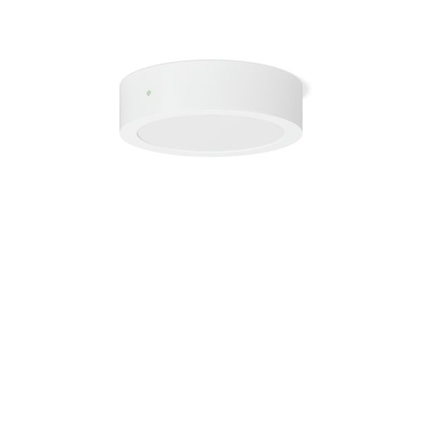 TOLEDO FLAT+ round, 22 W, 3150 lm, 830, 840, white, on/off Surface mou image 2
