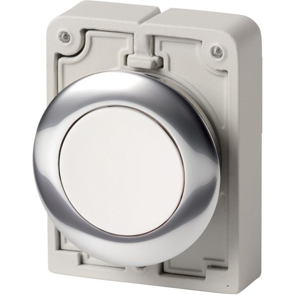 M30C-FD-W Pushbutton, RMQ-Titan, Flat, momentary, White, Blank, Metal bezel image 2