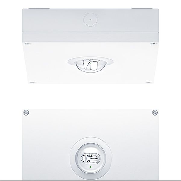 RESPRO MSC ESC90 E3BC WH IP65 - Safety luminaire image 1