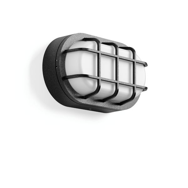 Alu-Lux oval, 8 W, 480 lm, 830, anthracite, Phase-cut Ceiling and wall image 1