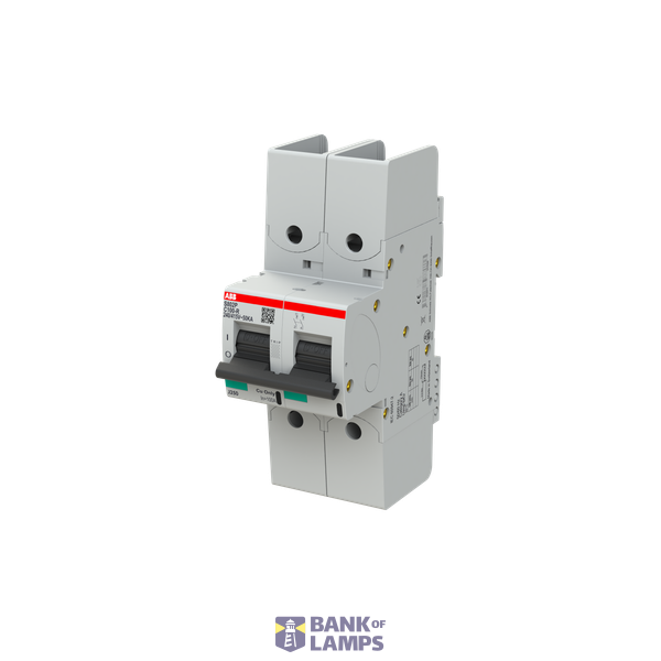 S802P-C100-R circuit breaker image 3