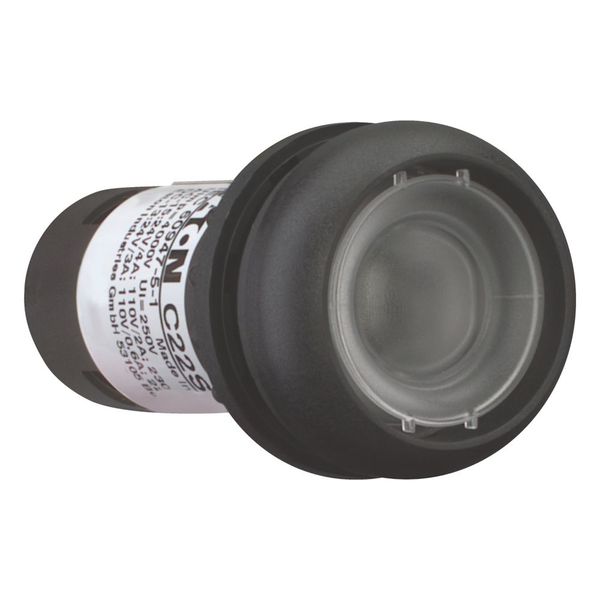 Illuminated pushbutton actuator, Flat, momentary, 1 N/O, Screw connection, LED Blue, Without button plate, 24 V AC/DC, Bezel: black image 6