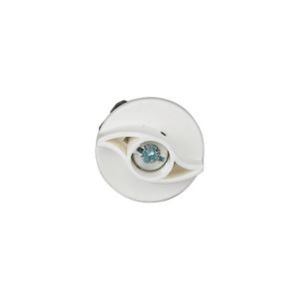 BPZ-FPV Front plate screw image 2