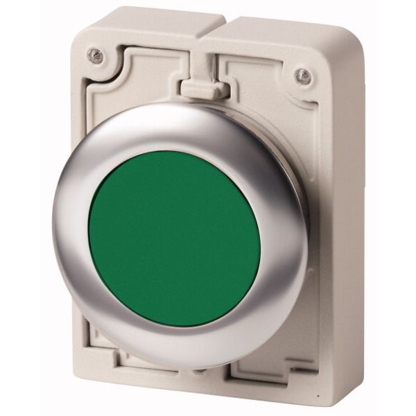 M30I-FDR-G Pushbutton, RMQ-Titan, flat, maintained, green, blank, Front ring stainless steel image 1