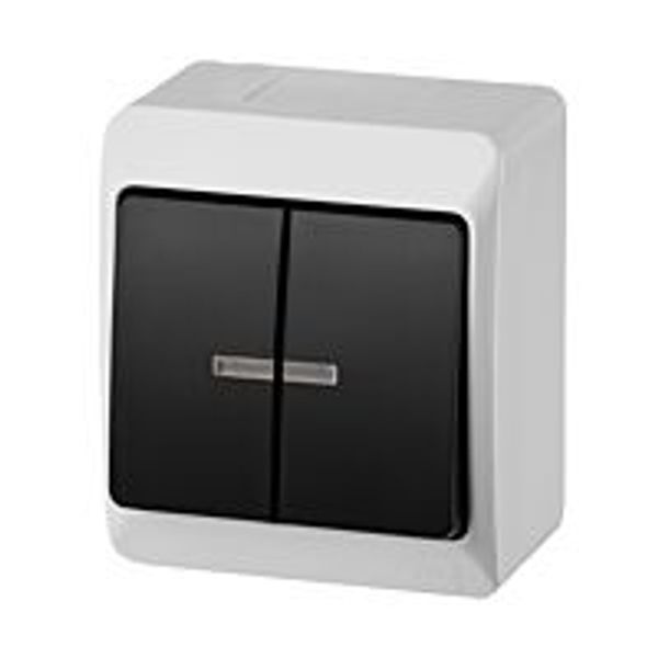 GALATEA Serial illuminated switch No. 5So 10A 230V on plaster IP44 white/black image 1