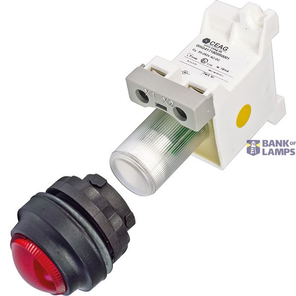 LIGHT NEUTRAL image 1