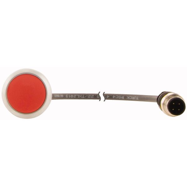 C22-D-R-K01-P3 Pushbutton, Flat, momentary, 1 NC, Cable (black) with M12A plug, 4 pole, 0.5 m, red, Blank, Bezel: titanium image 2