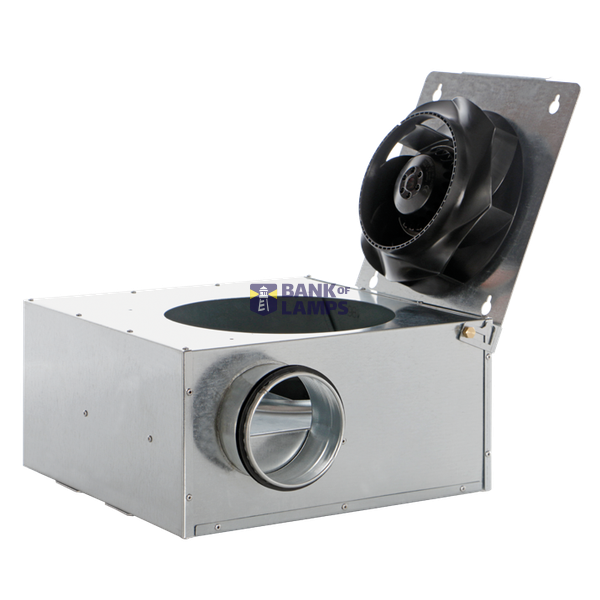 CA IL 100 image 2