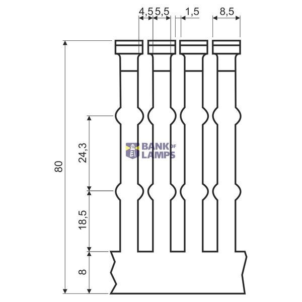 MD12 image 2