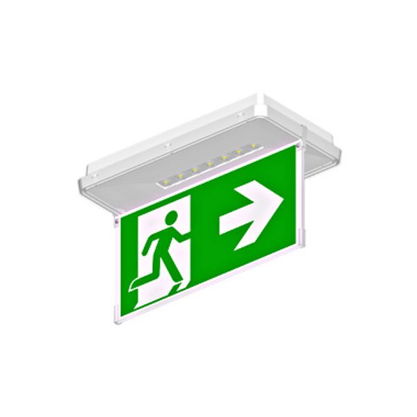 Hanging pictogram for luminaires Design K8 image 1