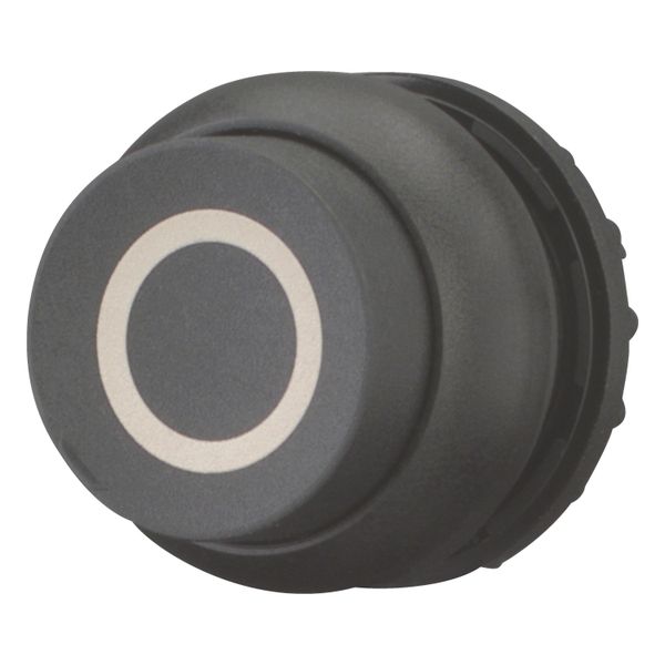 M22S-DRH-S-X0 Pushbutton, RMQ-Titan, Extended, maintained, black, inscribed, Bezel: black image 2