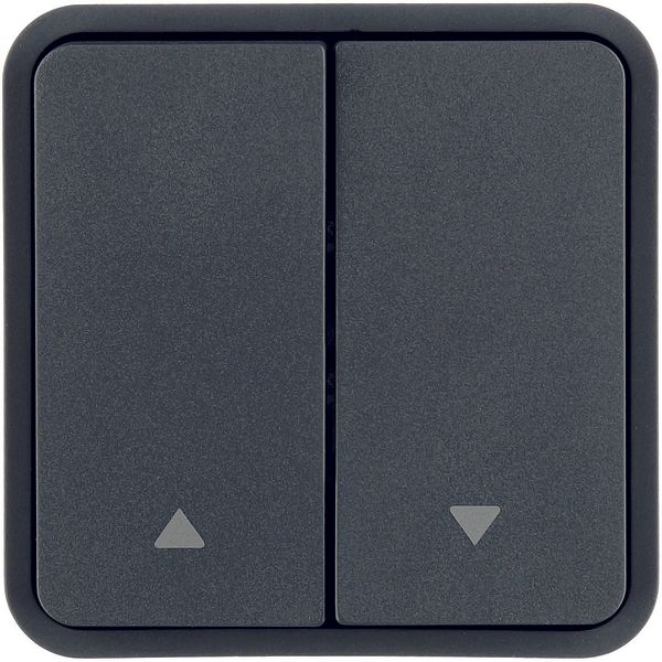 Rocker 2gang for push-button BCU, imprint 2 arrows right/left, grey image 1