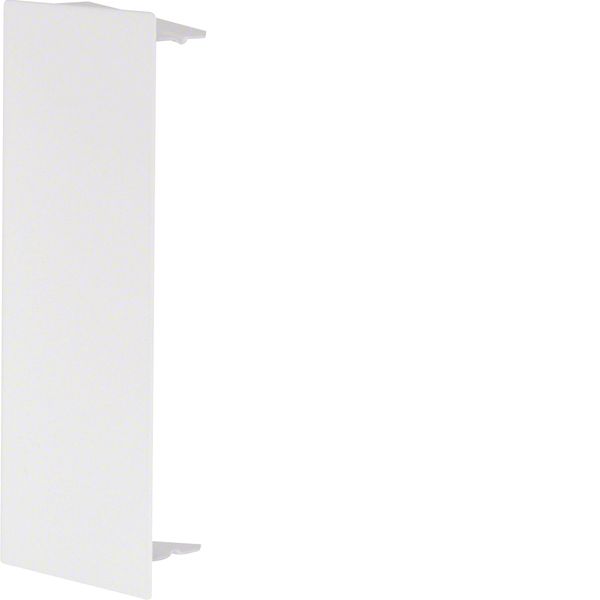 R 2723 White 9010 End cap image 1