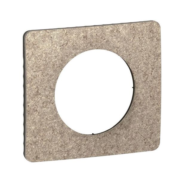 PLATE 1 GANG FELT image 2