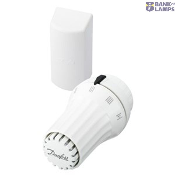 RAE Sensors, RAE 5056, Liquid, Sensor type: Remote sensor, 8 °C - 28 °C, RA image 1