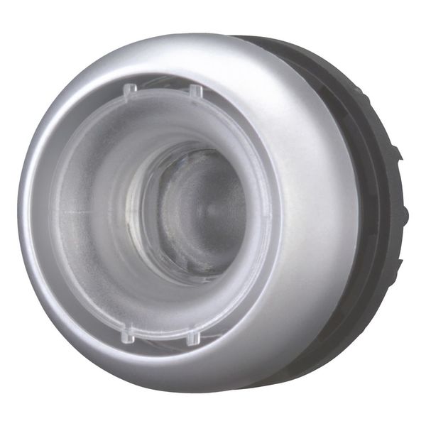 M22-D-X-GVP Pushbutton, RMQ-Titan, flush, momentary, Without button plate, Bezel: titanium image 12