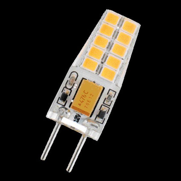 LED GY6.35 24V-28V AC/DC 2.5W 3000K Clear image 2