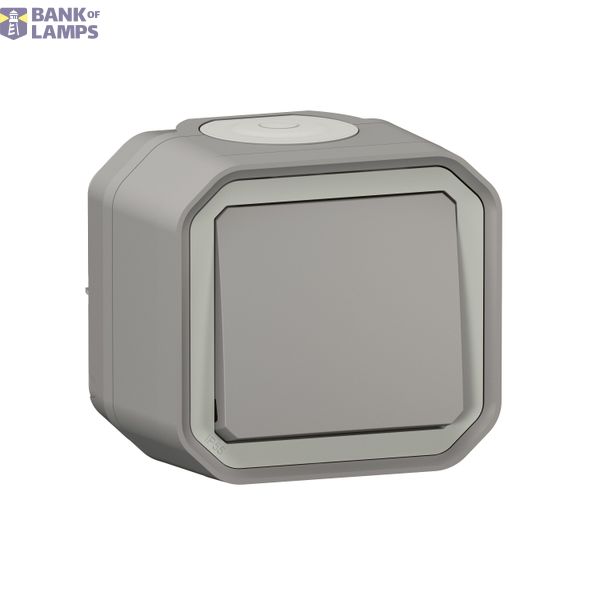 VV / POUSS SIMPLE GRIS SAILLIE image 1