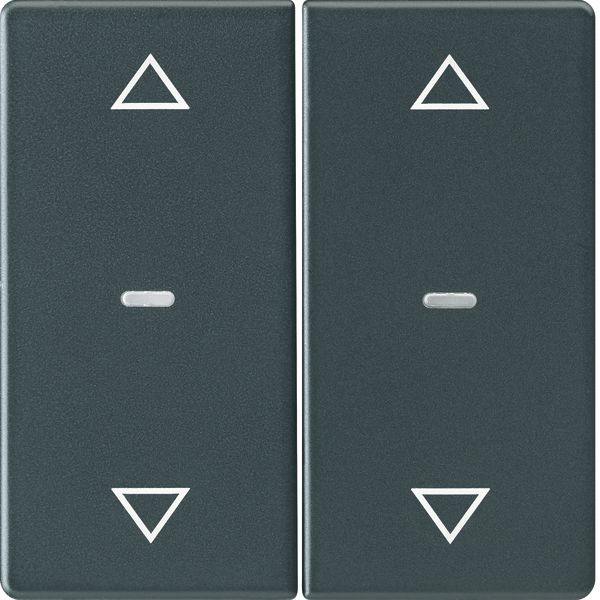 Cover arrow f. 2gang f. push-button m, clearlenses, Q.1/Q.3, ant. velv image 1