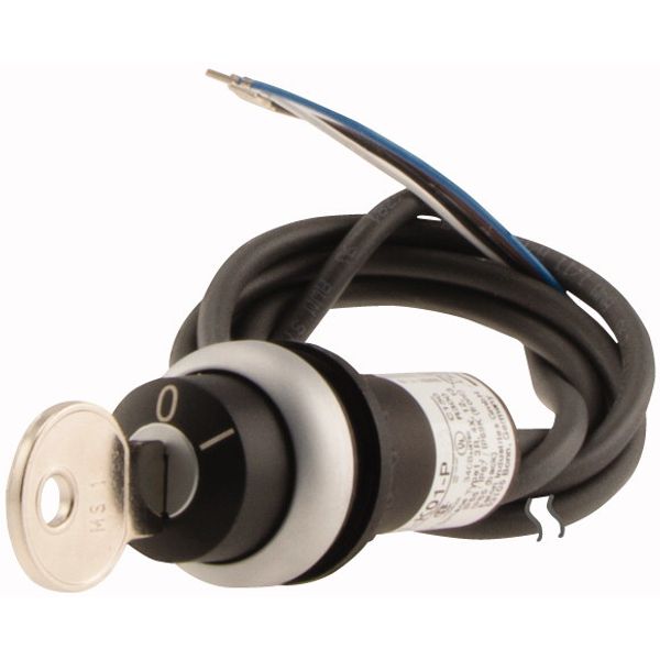 C22-WS-MS1-K11-P62 Key-operated actuator, RMQ compact solution, momentary, 1 NC, 1 N/O, Cable (black) with non-terminated end, 4 pole, 1 m, 2 positions, MS1, Bezel: tita image 3