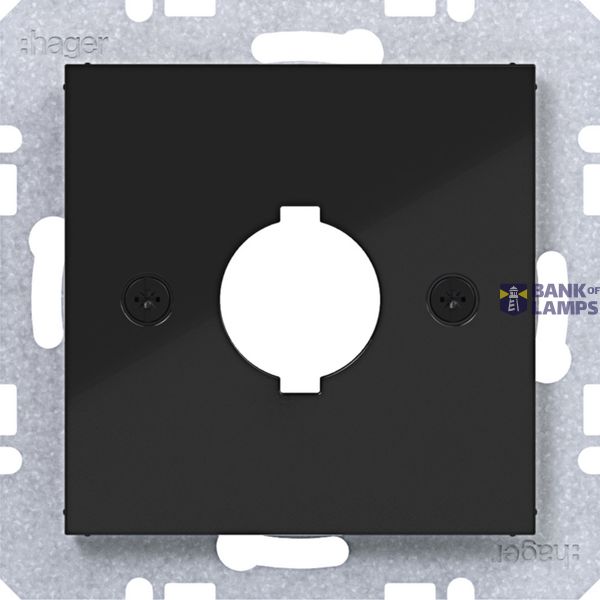 Central plate Ø18.8 mm, A.x/C.x/S.1/B.x/Q.x/K.x black glazing image 1