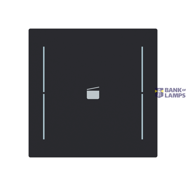 LFS/A.1.70.1-45M Cover plate with legend with Symbol "scene" black matt - Trevion® image 1