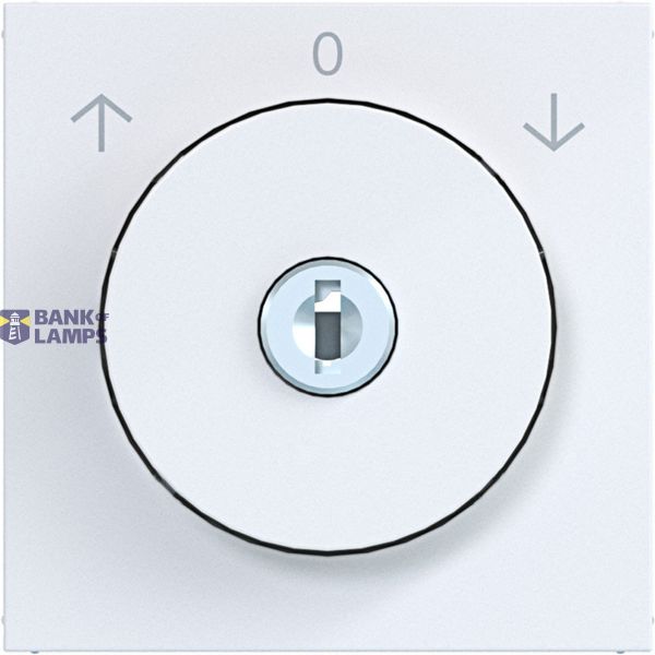 Central blind switch key ref. 0-position A.x/C.x white glass image 1