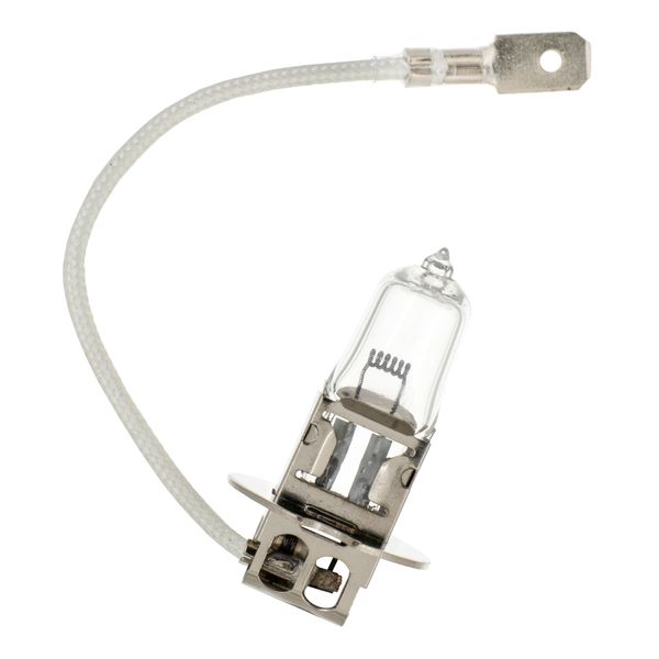 PK22s H3 24V 70W Clear image 1