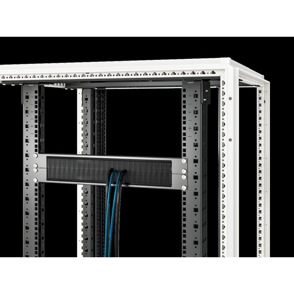 Cable management panel with brush strip 482.6 mm (19"), 1 U, RAL 9005: 2450 image 1