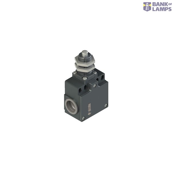 Position switch with threaded piston plunger image 1