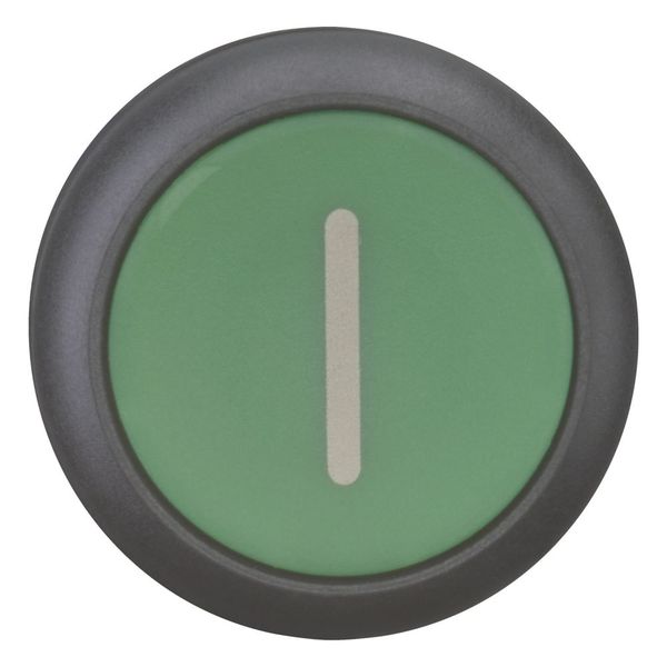 M22S-DR-G-X1 Pushbutton, RMQ-Titan, Flat, maintained, green, inscribed, Bezel: black image 10