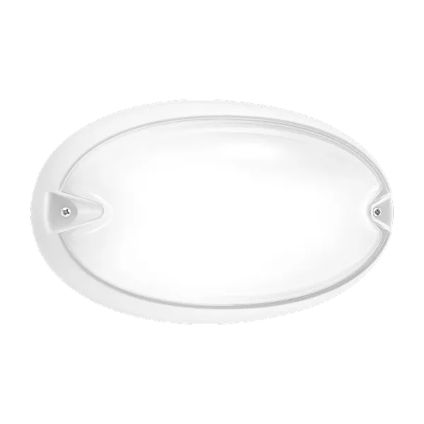 CHIP OVALE 30 LED 830 WIT 11,5W image 3