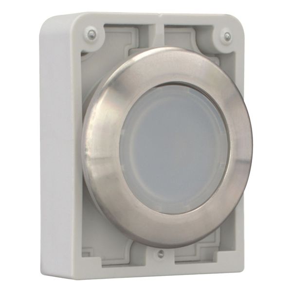 M30I-FDL-W Illuminated pushbutton actuator, RMQ-Titan, flat, momentary, White, blank, Front ring stainless steel image 7