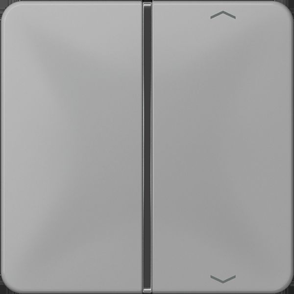 Cover 1-gang with symbols CD401TSAPGR image 5