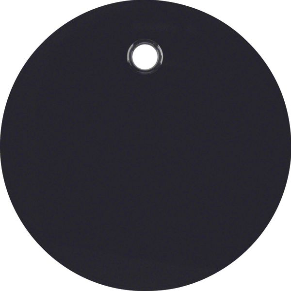 Centre plate for pullcord switch/pullcord push-button, R.1/R.3, black image 1